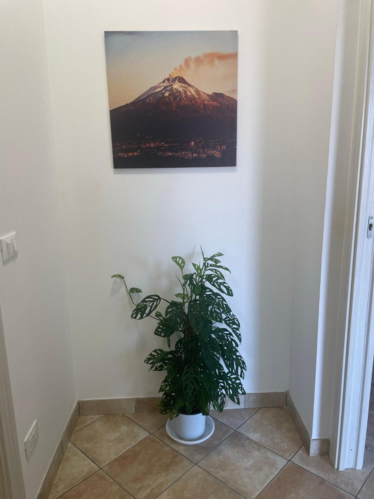 Maison De Cheeramie - Tourist Apartments Tra Mare E Etna ماسكالي المظهر الخارجي الصورة